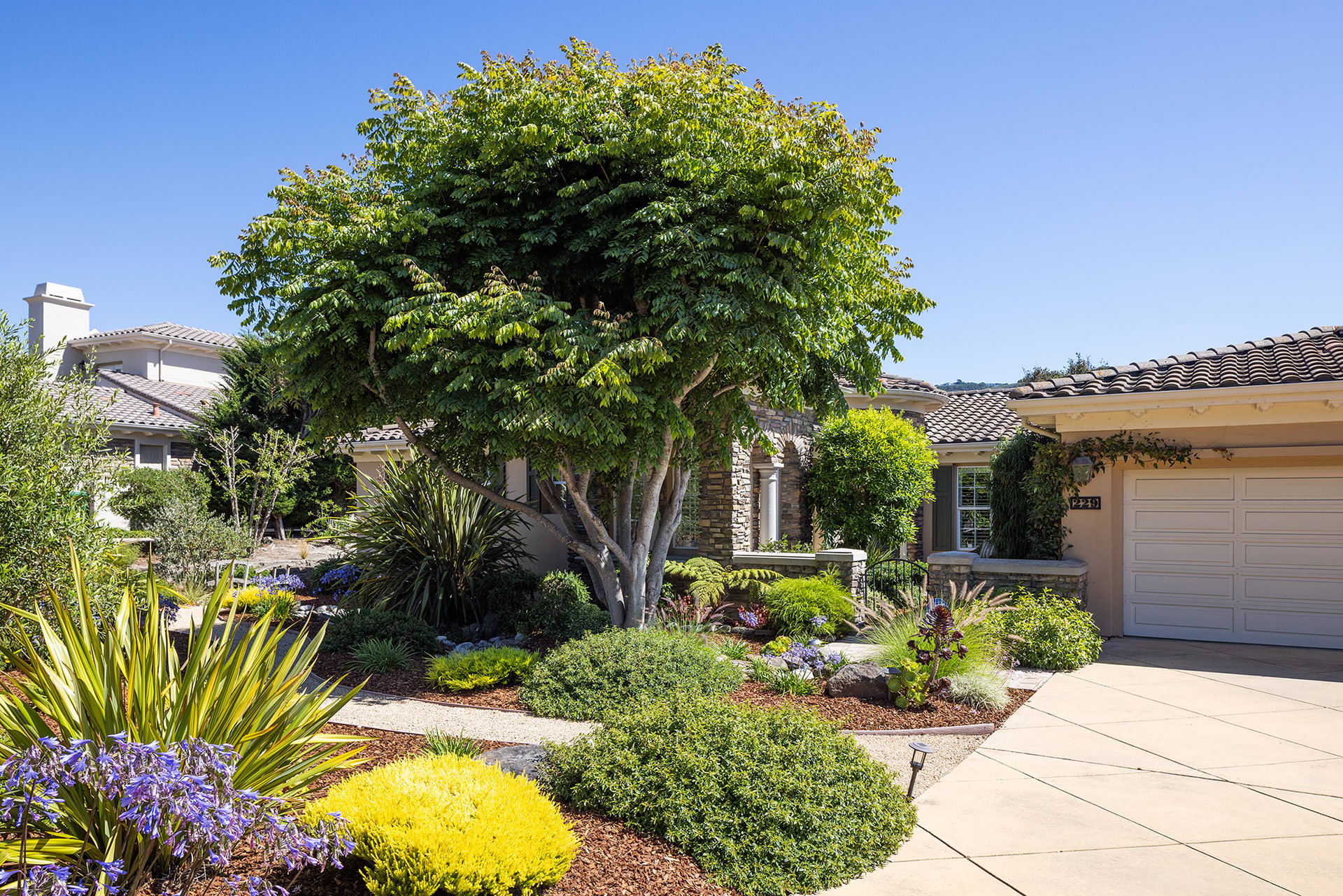 Gorgeous Mediterranean in Pasadera - 229 Madera Ct