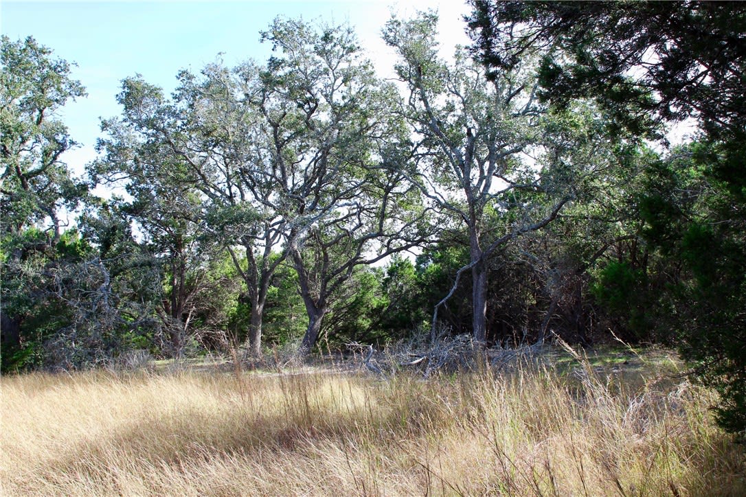 000 Sierra Loma