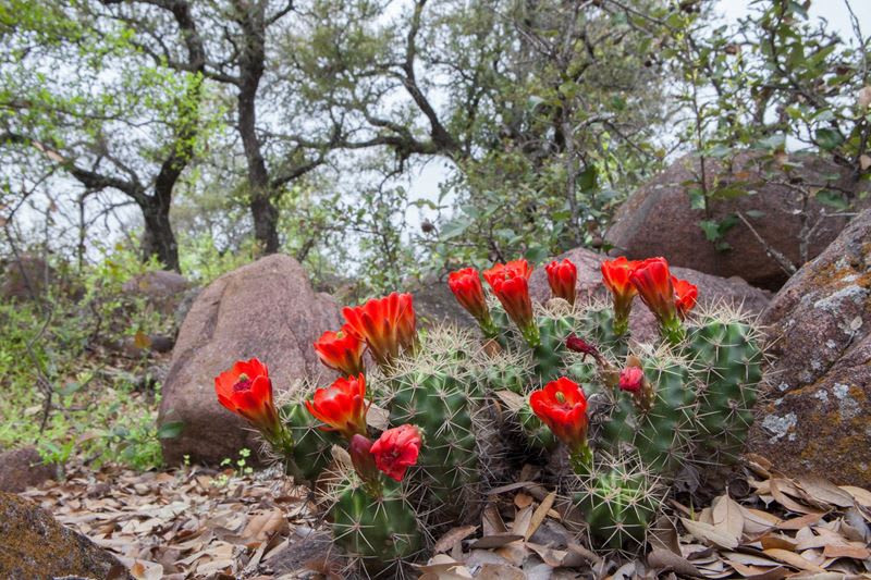 Llano Granite Ranch