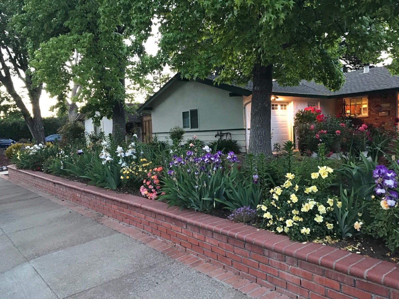 Alluring Rancho San Miguel Rancher