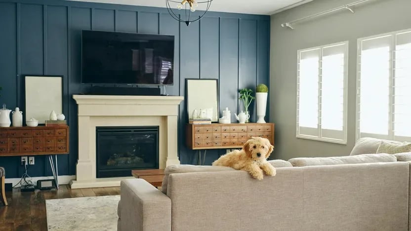 Good Dog! Why Pets Are Popping Up In Listing Photos—But This Cuteness Could Come Back To Bite You