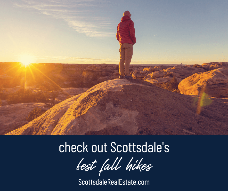 Moving to Scottsdale? Check Out the Best Fall Hikes