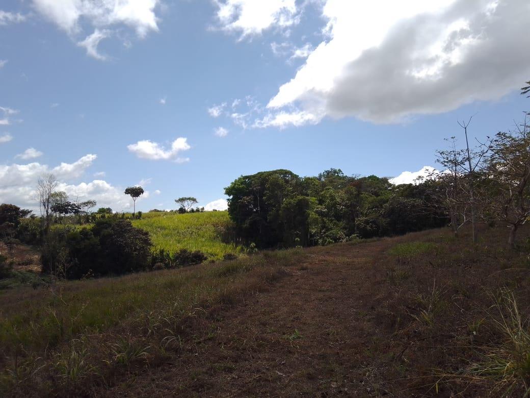 Mountain Fruit Farm Lagoon, Perez Zeledon, San Jose
