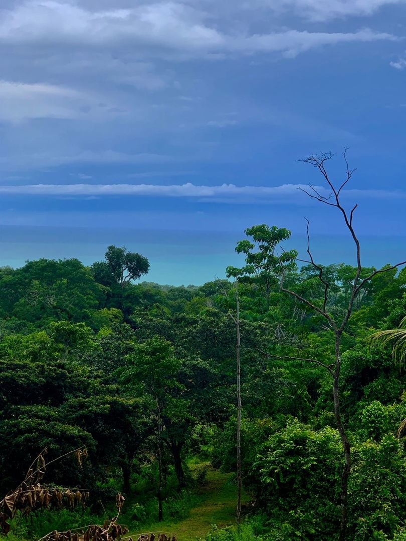 Triple Waterfall Ocean View Land, Dominical, Puntarenas