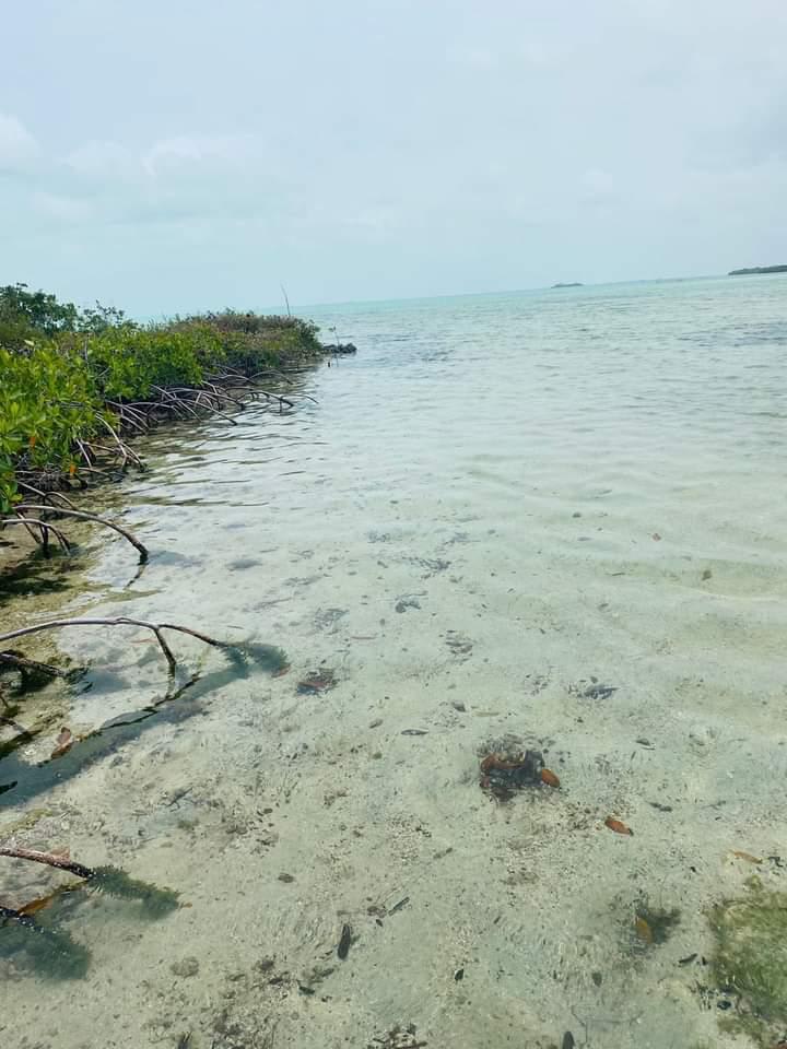 Panoramic waterfront lot on the coveted northeast end of Secret Beach Strip, Ambergris Caye, Belize