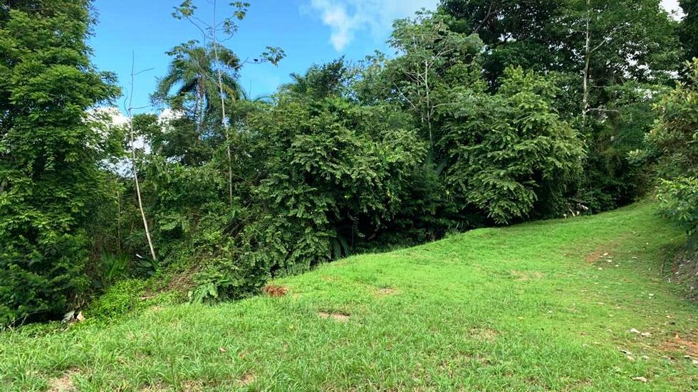 Ocean View Property with a Prime Location and Legal Water in Escaleras Dominical