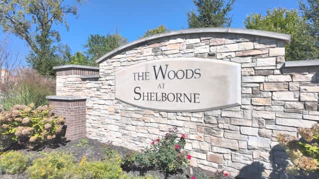 Woods at Shelborne