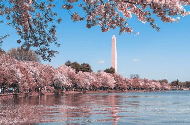 Fun Summer Activities To Enjoy in Washington DC