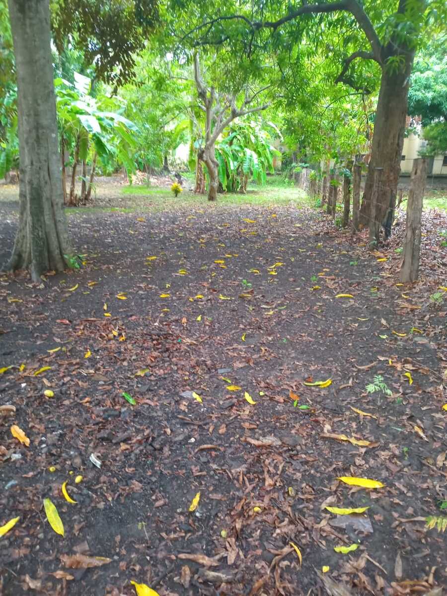 Mixed Use Development Lot, Papagayo, Guanacaste