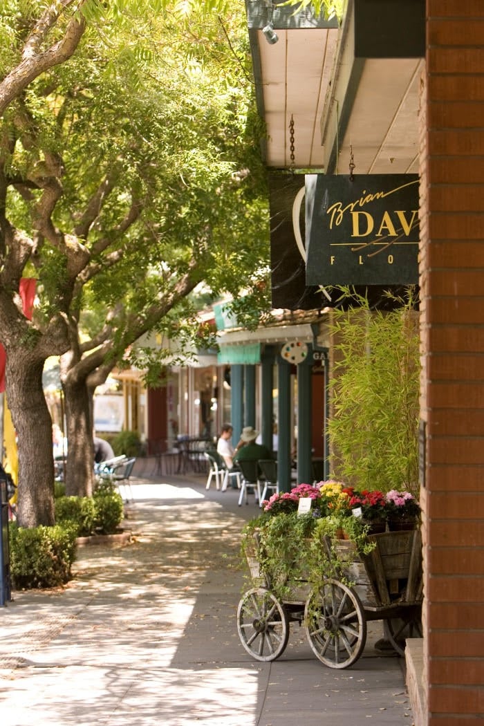 Discover the Charms of Living in Los Altos: A Gem in Silicon Valley