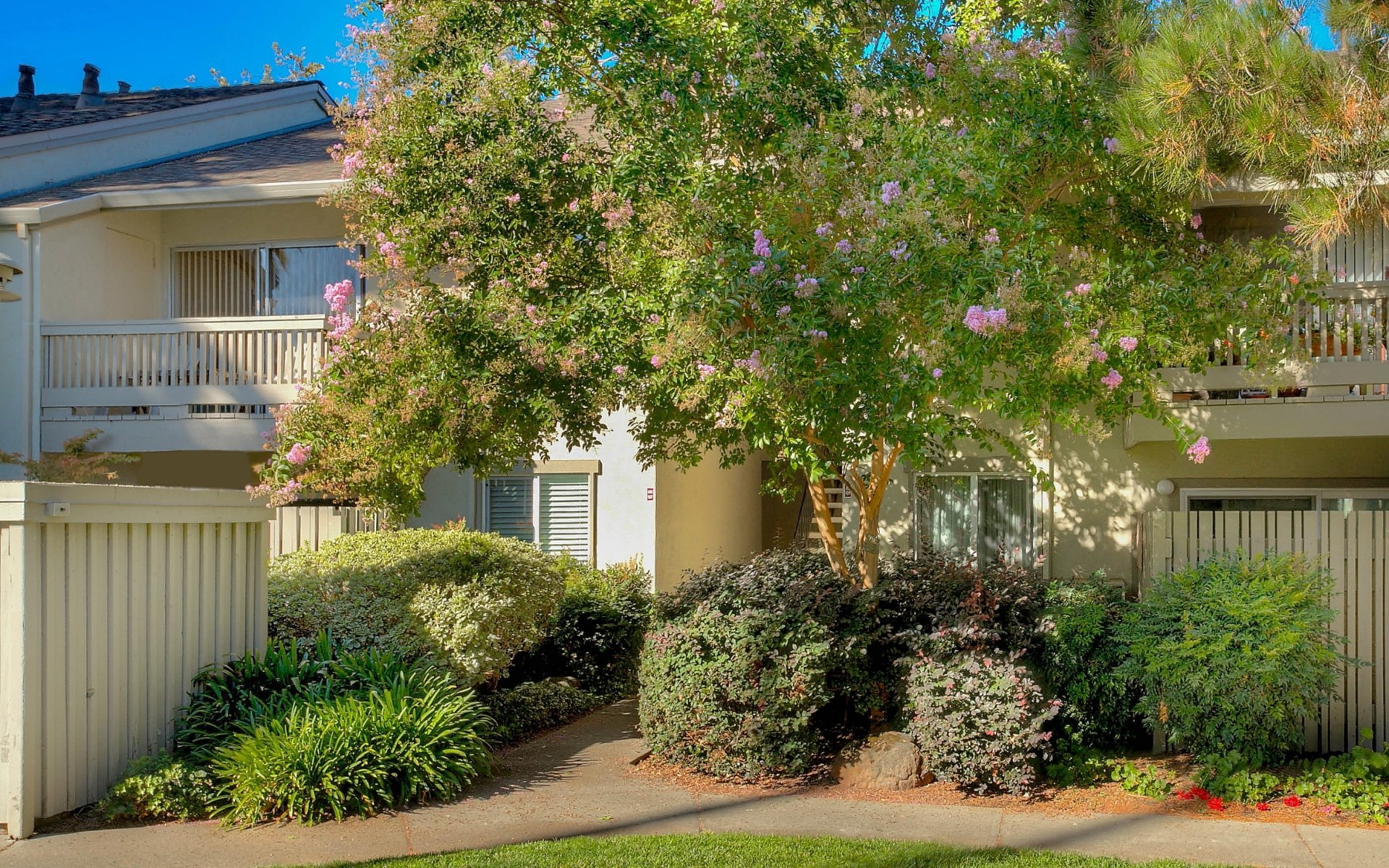 2564 Walnut Blvd, #107