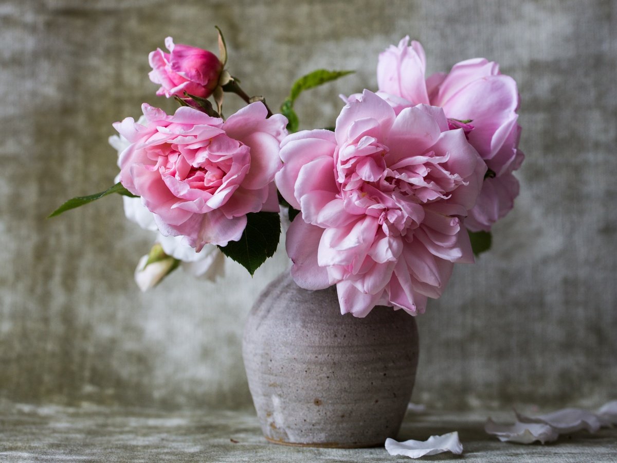 April 2019 Newsletter