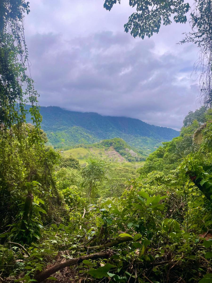 Private Waterfall Ocean View Land, Ojochal, Puntarenas