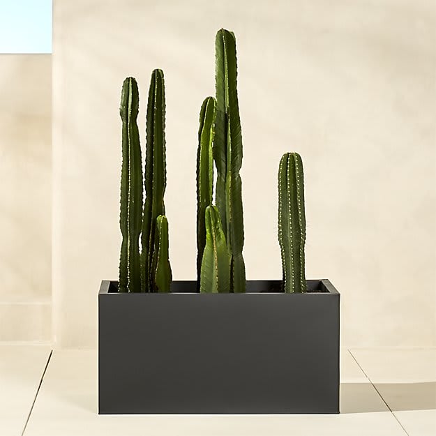 Trend Alert: Matte Black