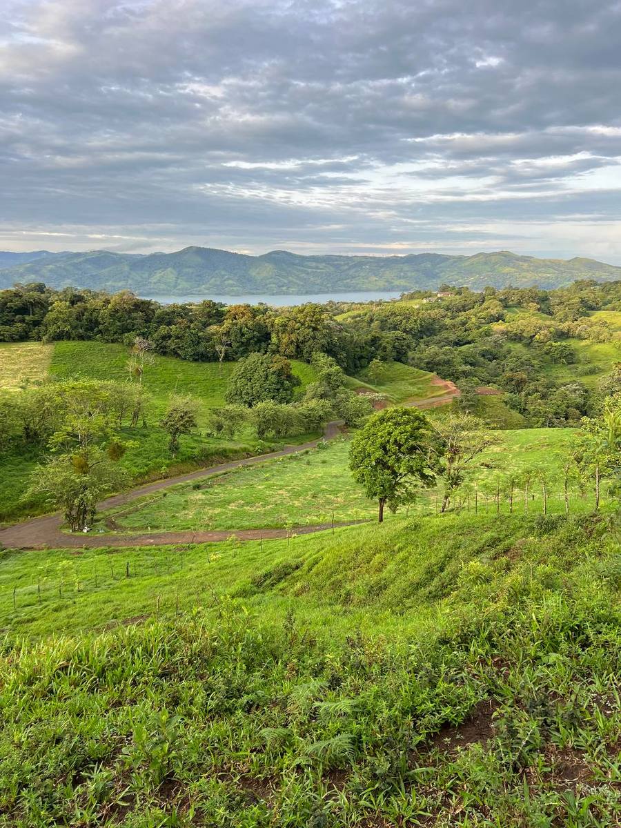 Permaculture Food Forest Land, Lake Arenal, Alajuela