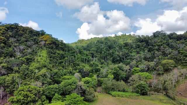 1836 Acre Farm With Streams and Primary Jungle at the Basin of Sierpe