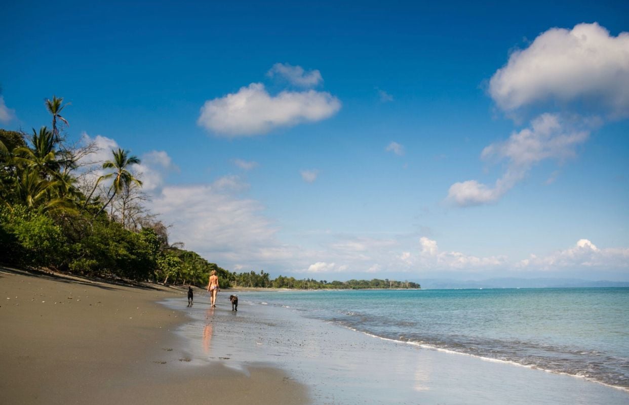 Beachfront Sustainable Eco Resort, Osa, Puntarenas