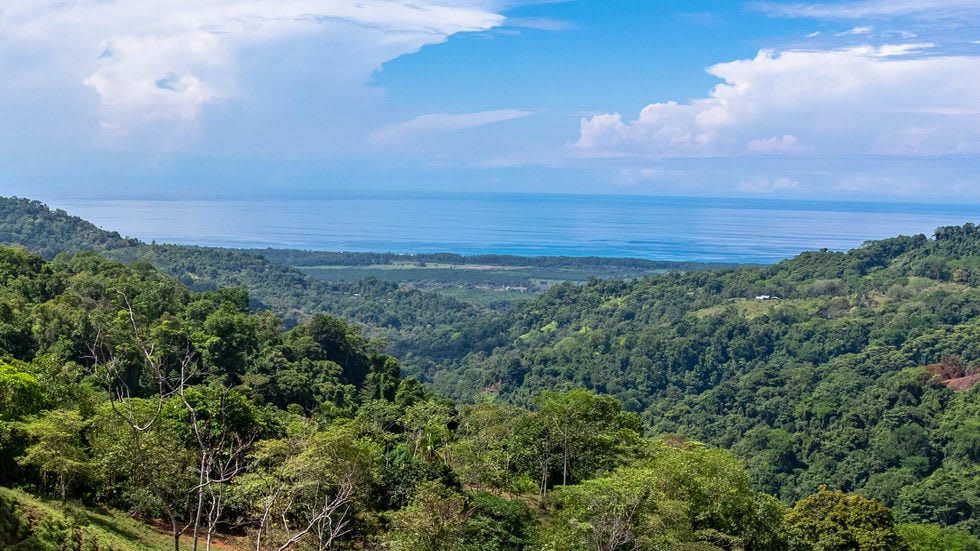 238 Acre Ocean View Property in Portalon with Waterfall