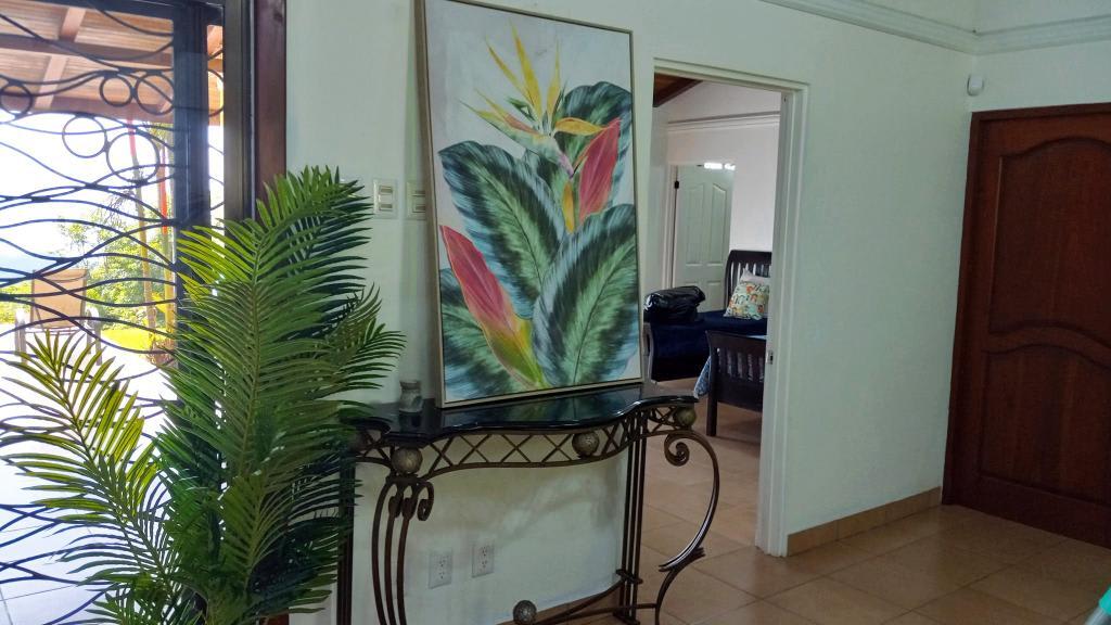 Casa Ballena Views