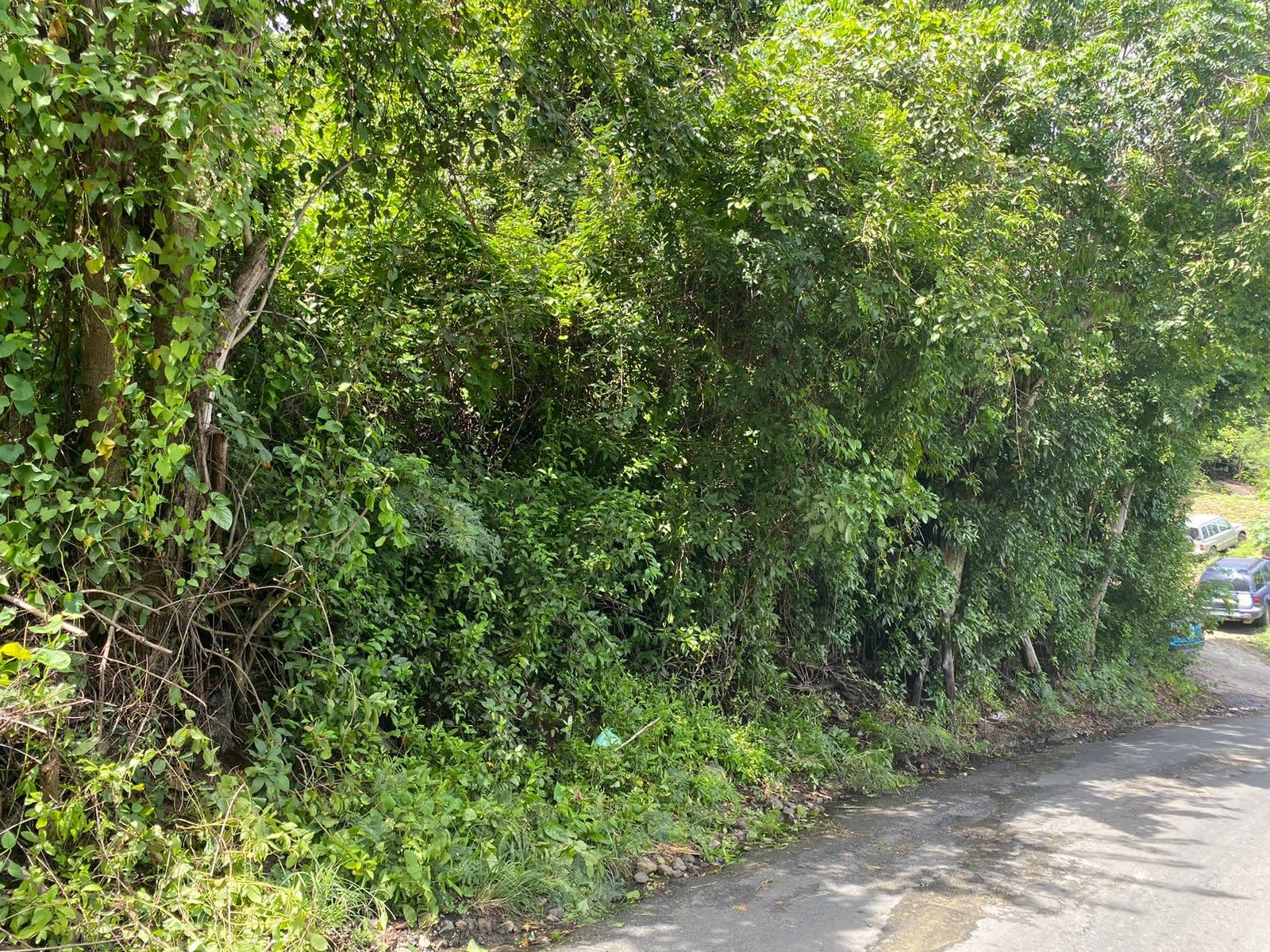835 Josiah's Bay 0.28 Acres