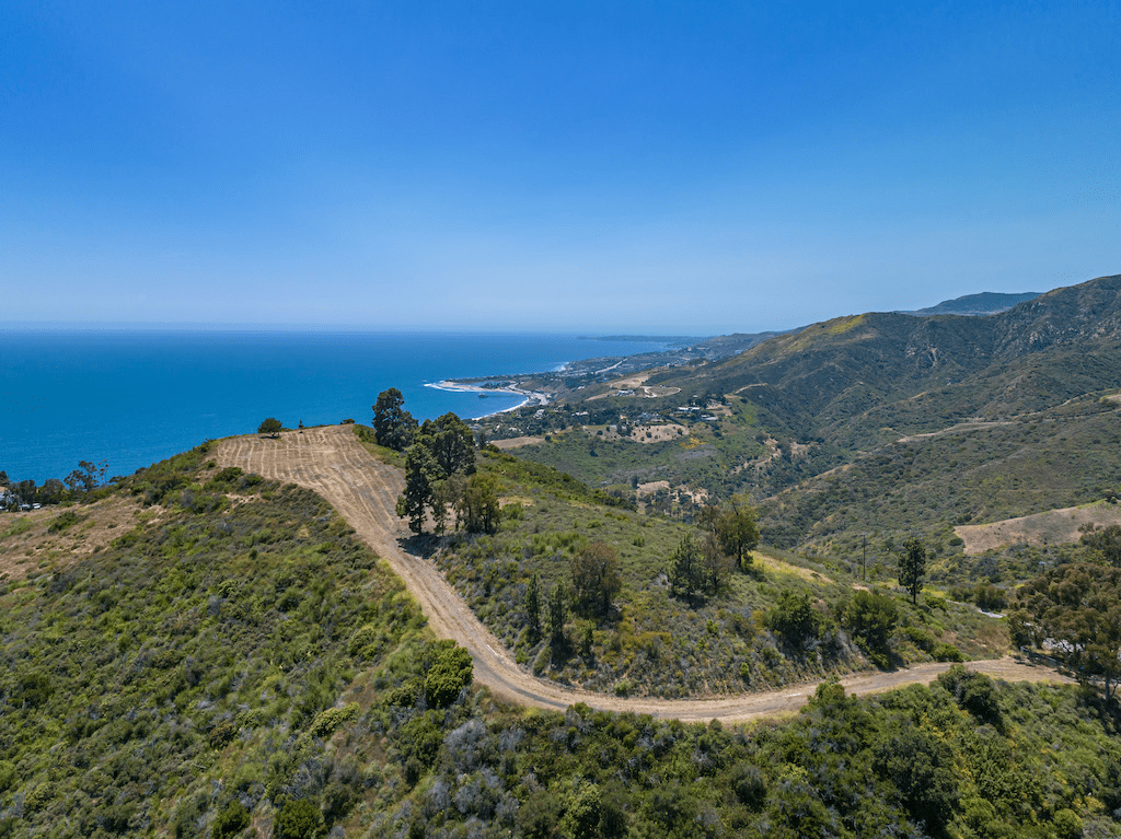 Crowd-Sourced Design: The Agency Uses AI to Create Unique Home Inspo