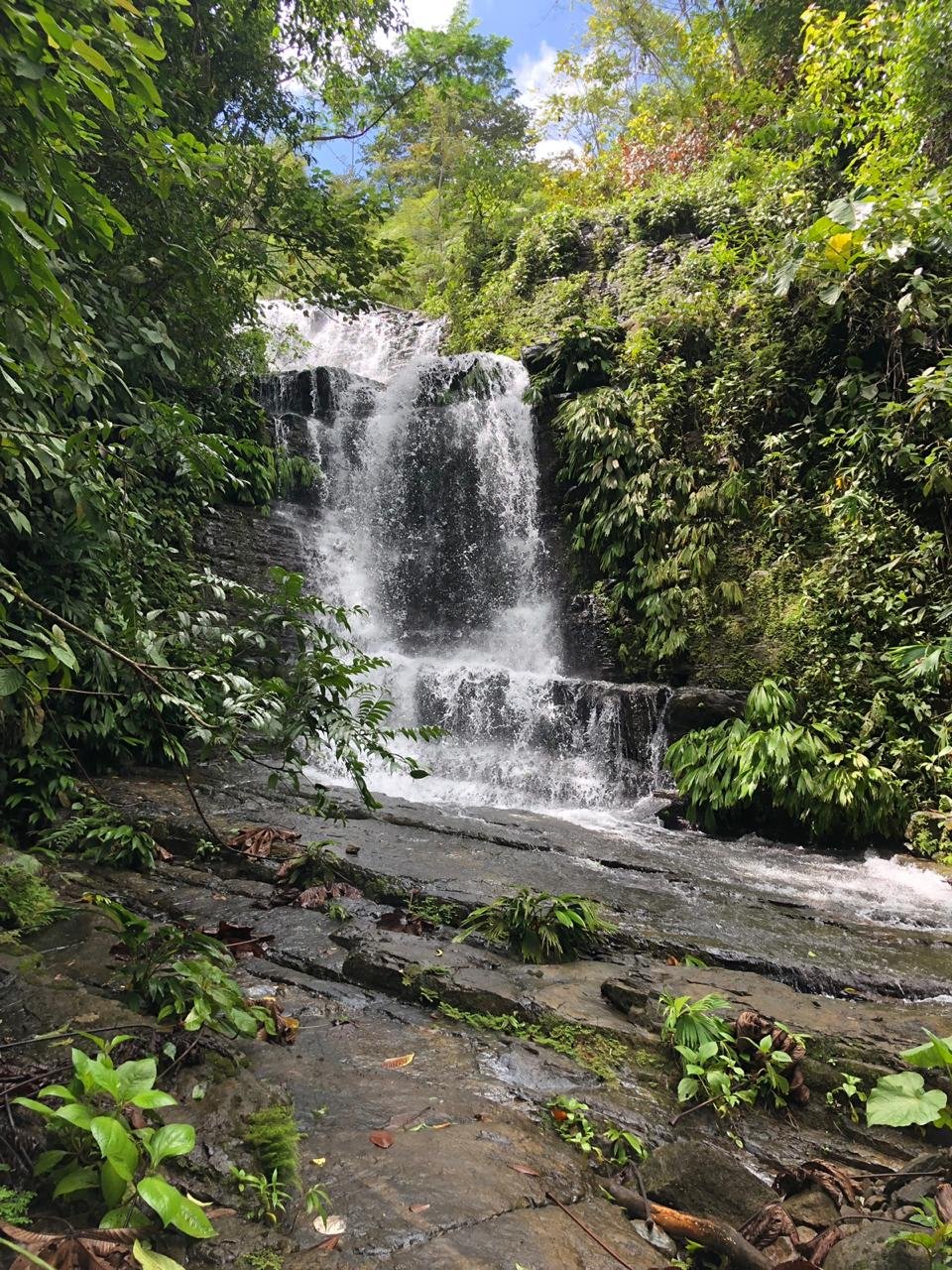 42 Acres With Waterfalls, Ocean Views & Multiple Building Sites Sliencio Ariba