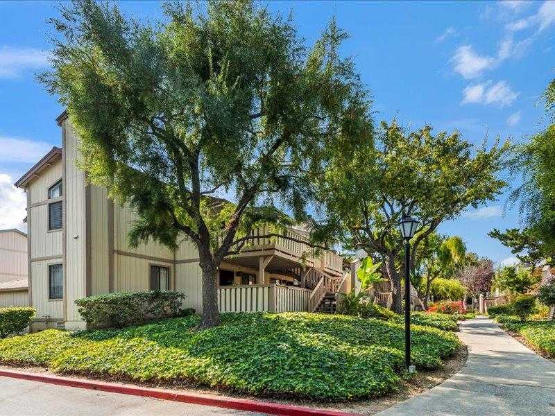 457 Coyote Creek CIR