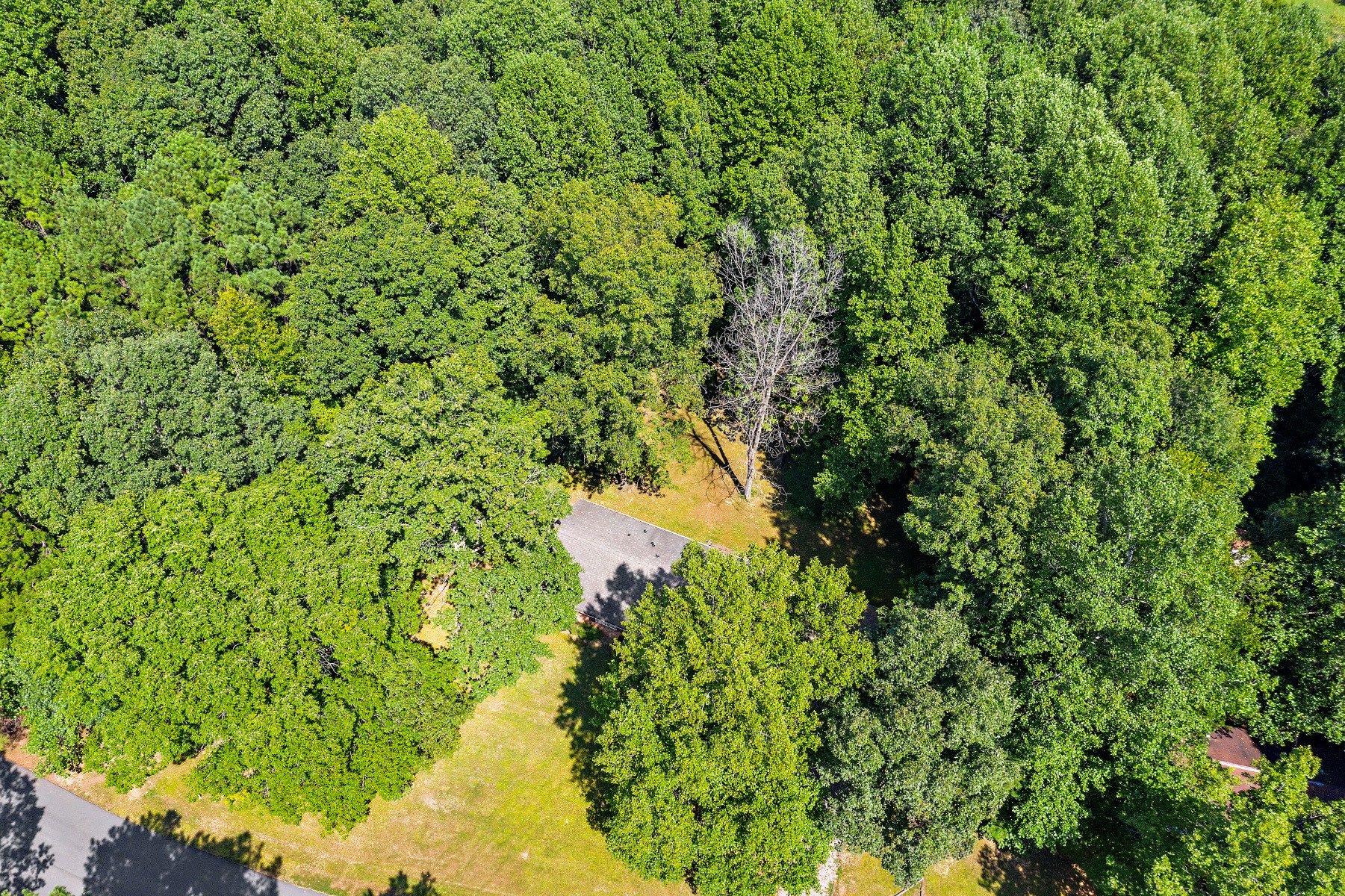 10149 Clearwood Road