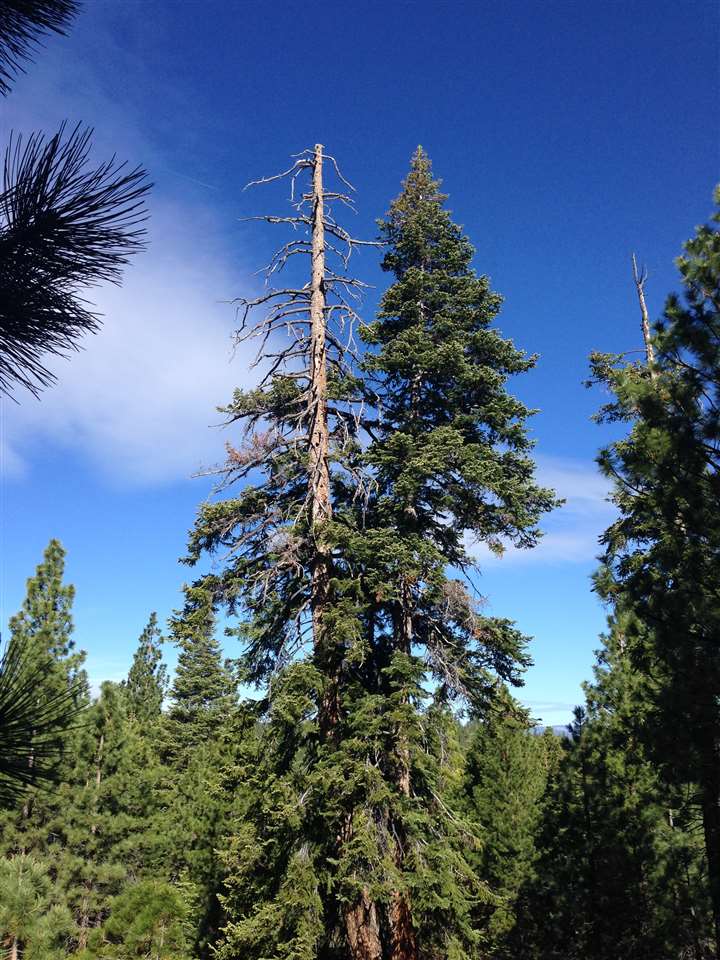 18433 Arcturus Reach Truckee Ca