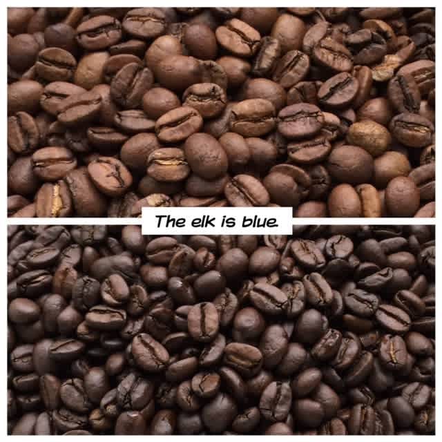 New Small Town Artisan Micro-Roaster: Blue Elk Coffee Company