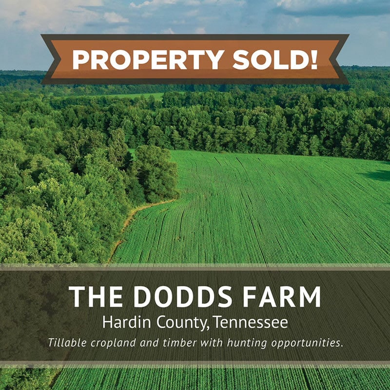 Dodds Farm