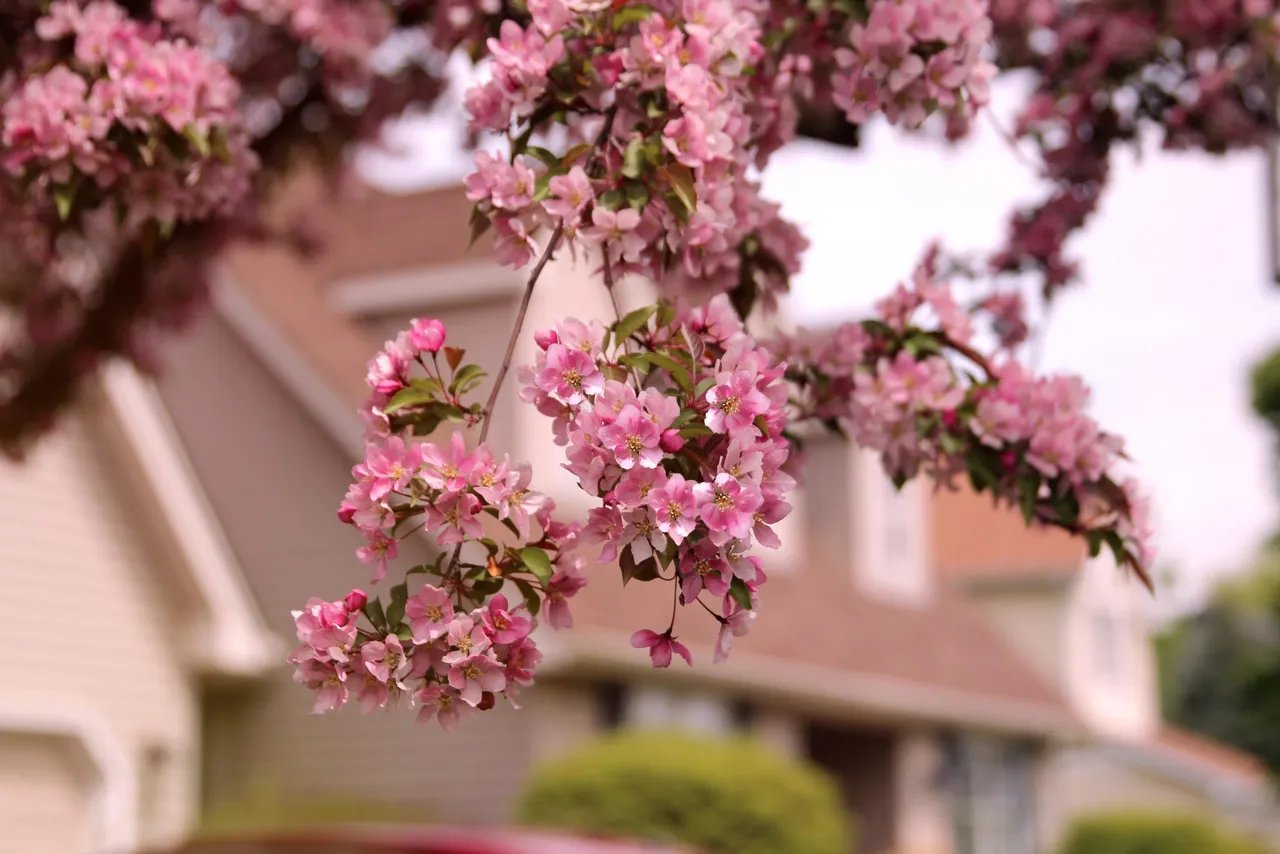 Prepare Your Home for The Spring Selling Season