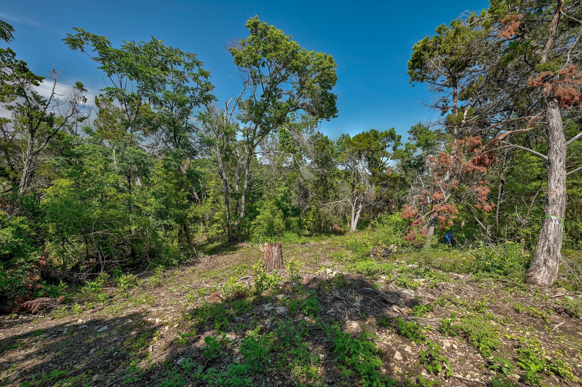 1217 Yaupon Valley Road