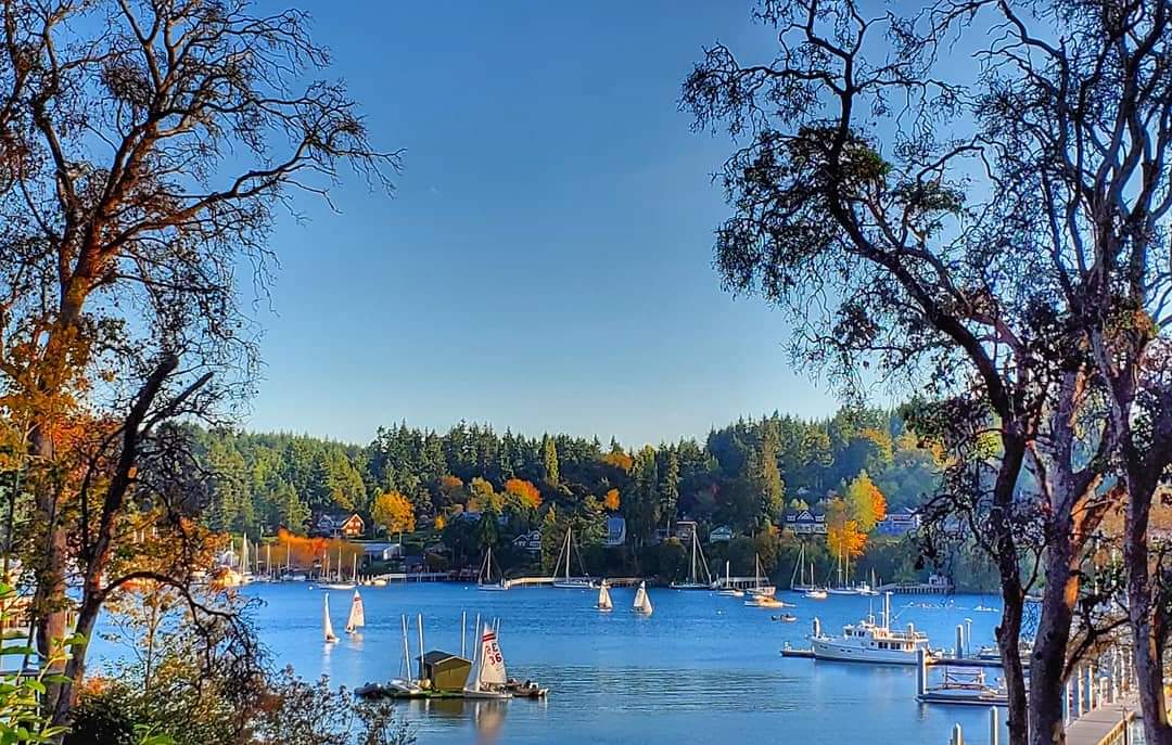 BAINBRIDGE ISLAND