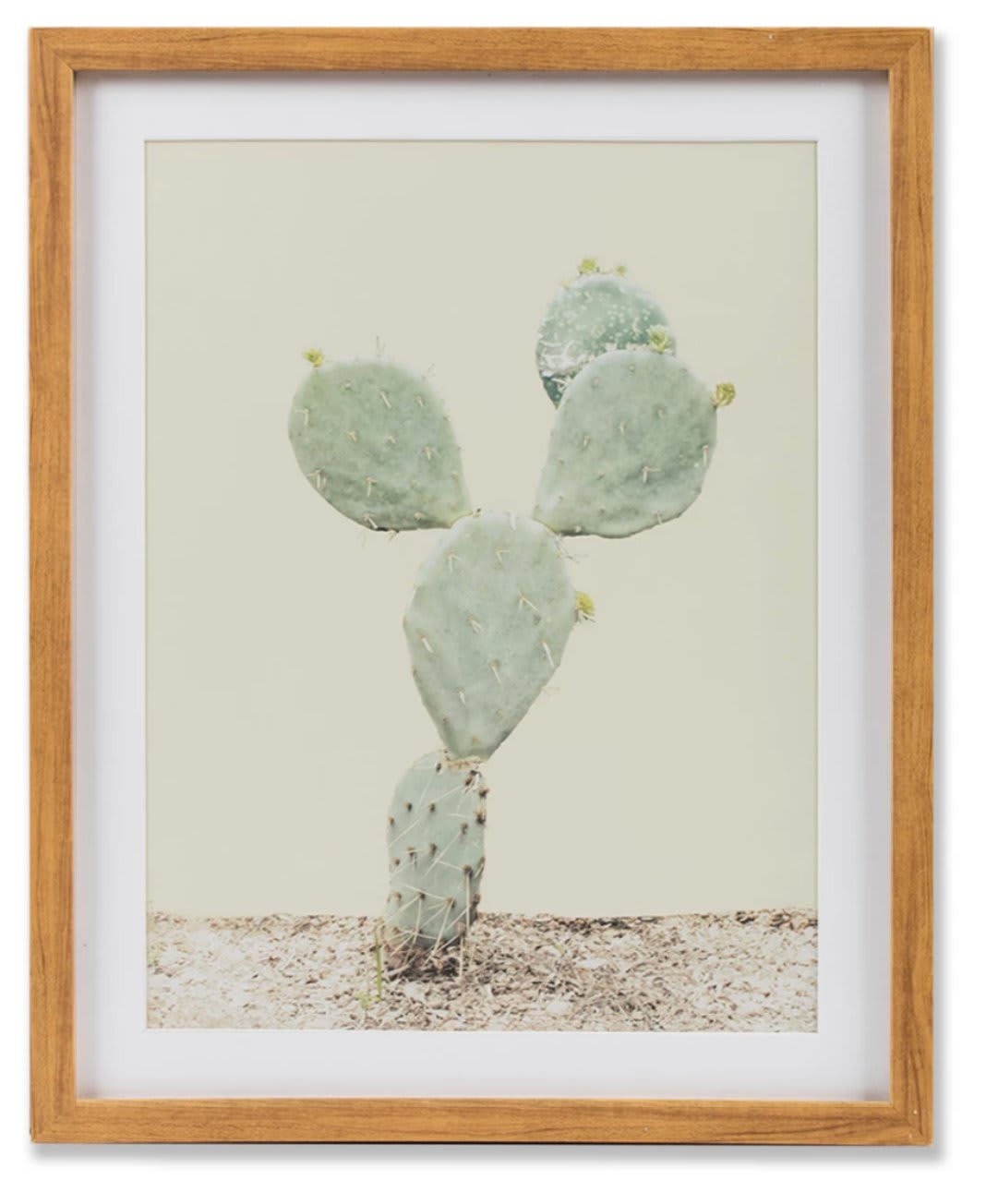 How to Style Your Bookshelves