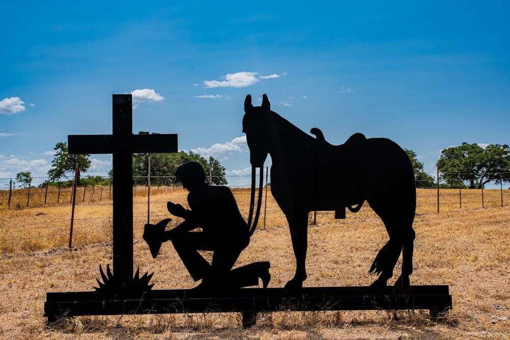 Dog Tick Ranch