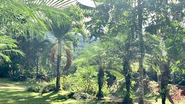 Waterfall River Luxury Home, Dominical, Puntarenas