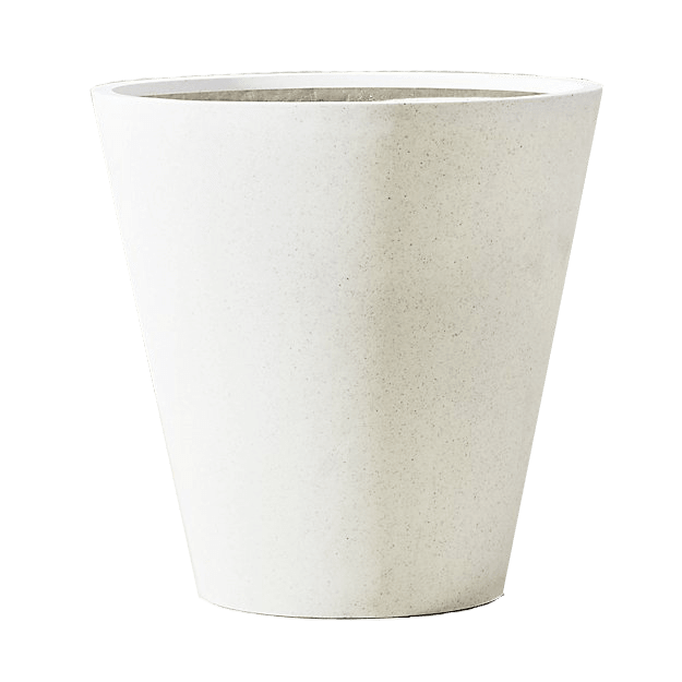 Curb Appeal: Modern Stunner