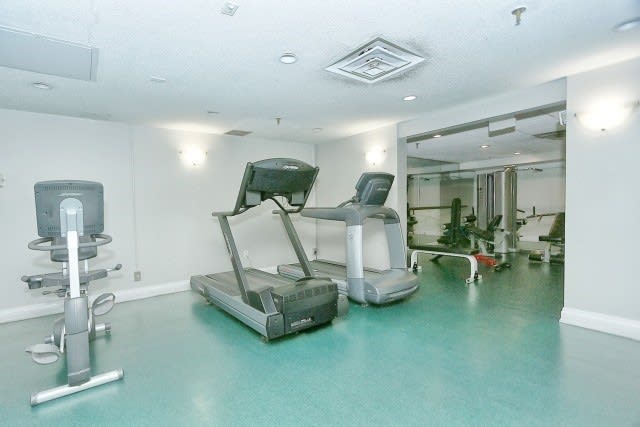 309 Major Mackenzie Drive East #217