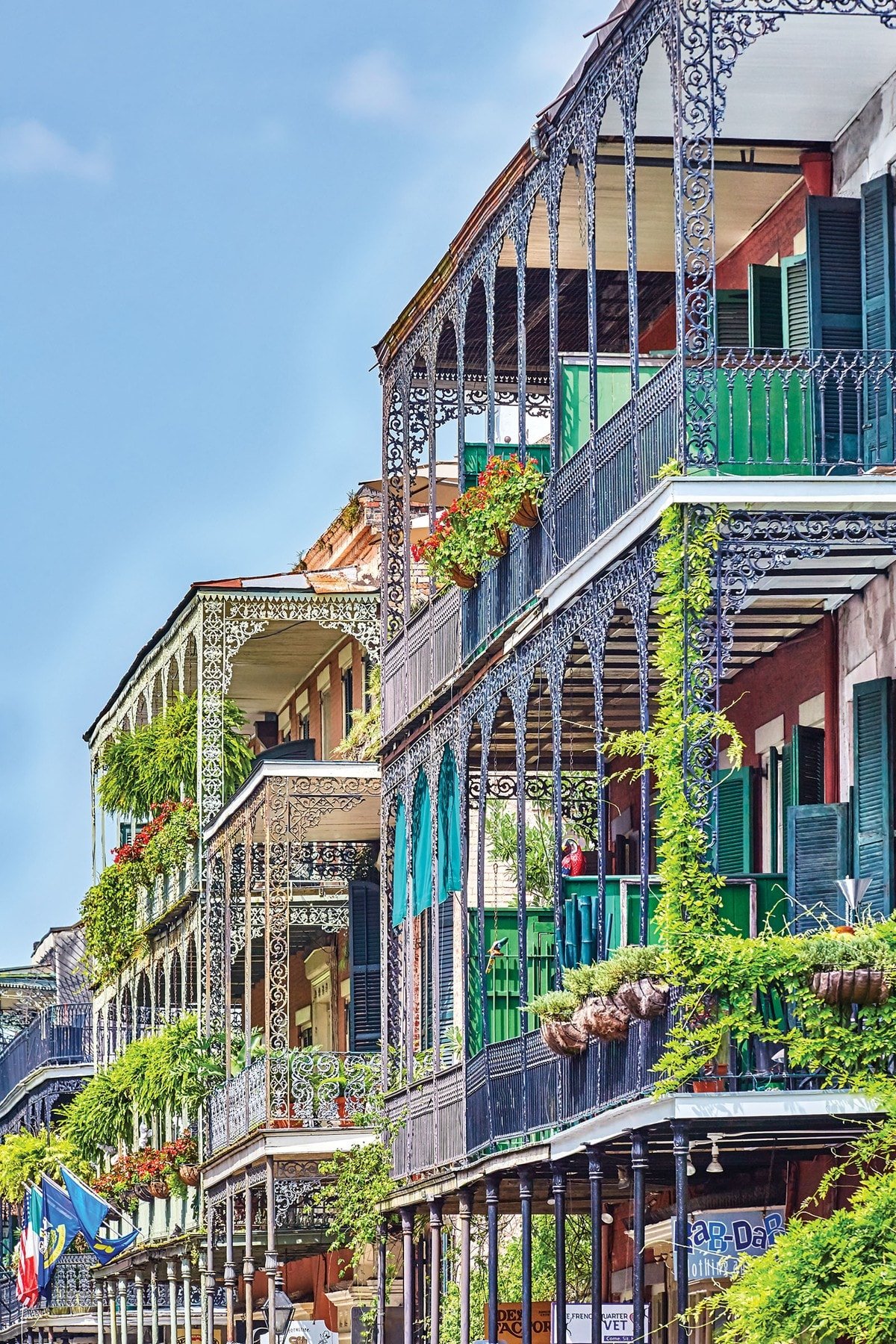 Creole-Style Houses Offer Eclectic Architecture