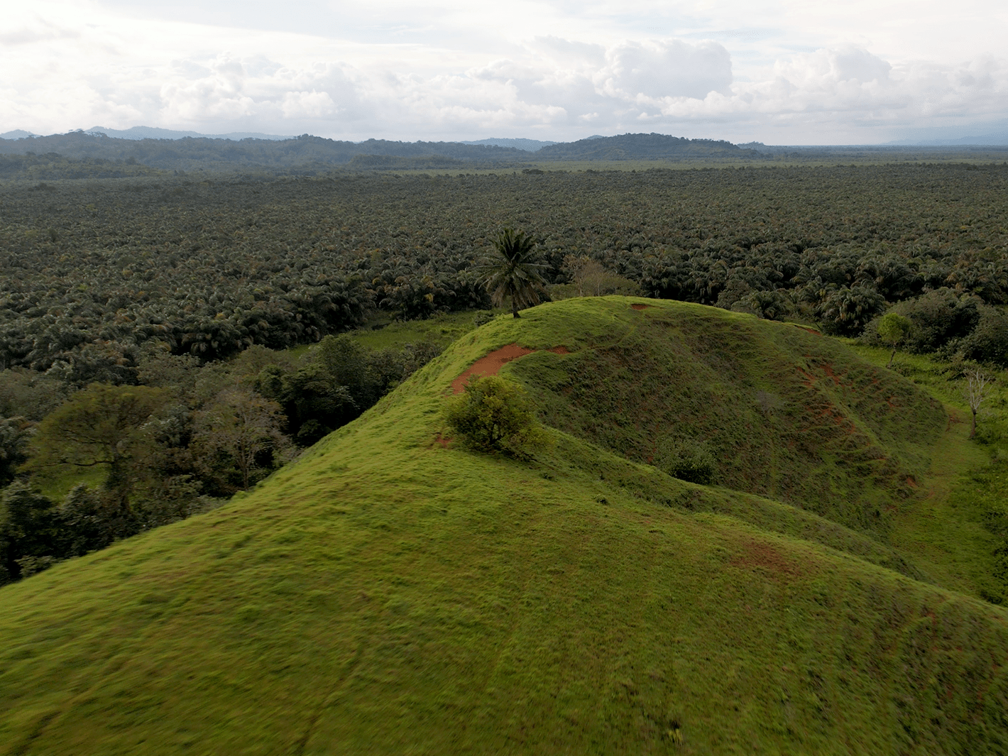 382 Acres of Sierpe River Wild Lands