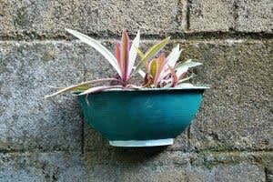 DIY Your Curb Appeal this Summer