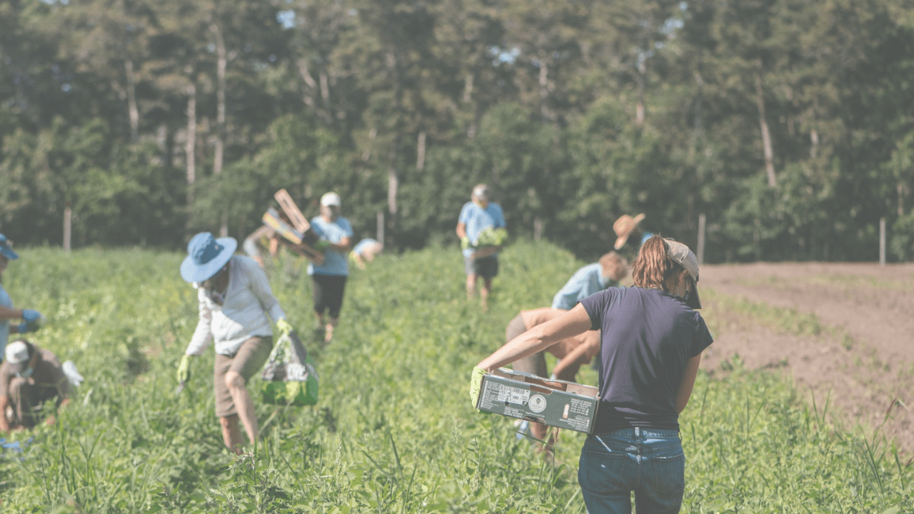 Martha's Vineyard Island Grown Initiative