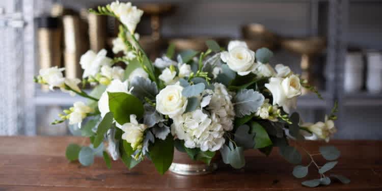 Winter Florals