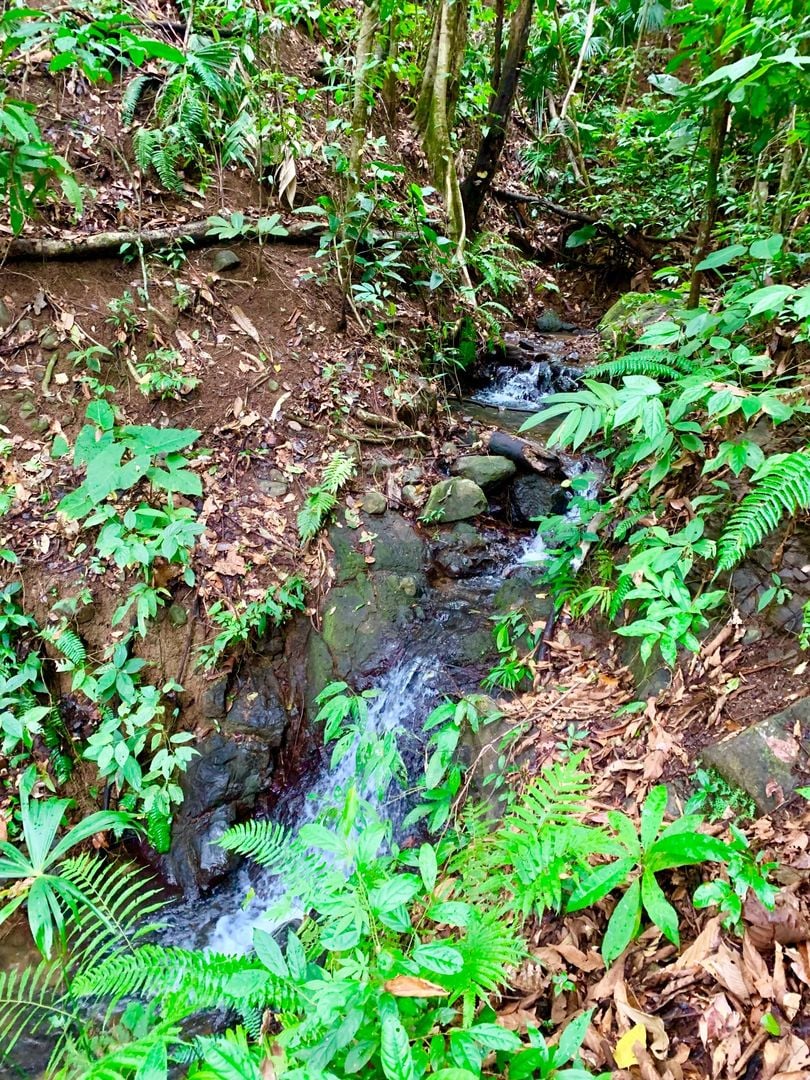 Triple Waterfall Ocean View Land, Dominical, Puntarenas