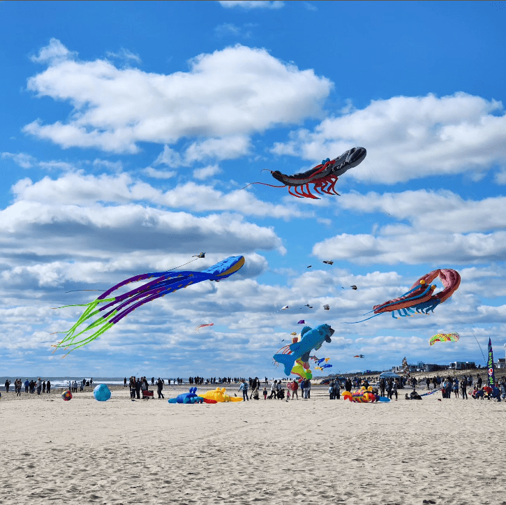 Till & Toby Visit  LBI FLY Kite Festival 