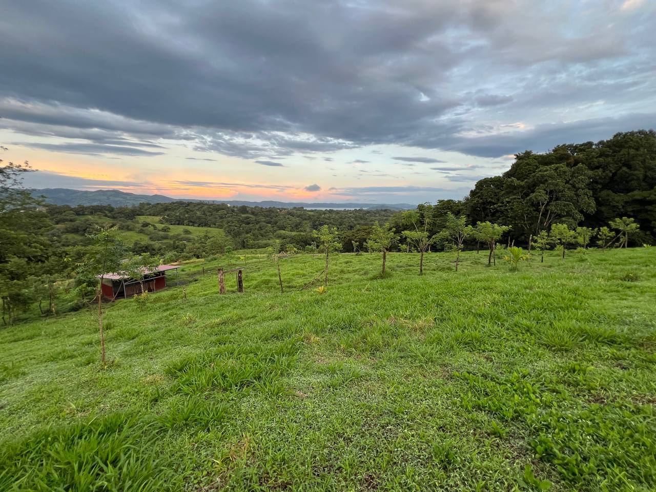 Permaculture Food Forest Land, Lake Arenal, Alajuela