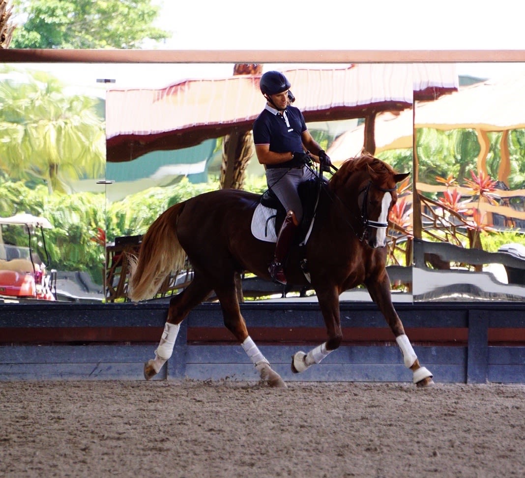 Discover the Best Equestrian Facilities on Aquidneck Island, Rhode Island