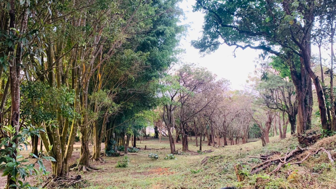 Panoramic View Mountain Land, Santa Ana, San Jose