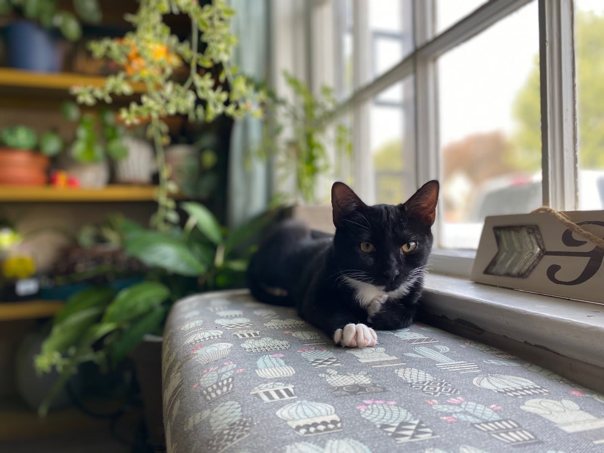 Local Love – Summer 2021, Part 4